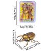 Gold/Green Wind Up Beetle Toys Cartoon  Lovely   Kids Gift