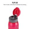 Unzerbrechliche, auslaufsichere Trinkflaschen mit Klappverschluss für Fitnessstudio, Reisen, Zuhause | 800 ml, BPA-frei, 2er-Set | Langlebiger Kunststoff, Gefriersicher, Stilvolles klares Design