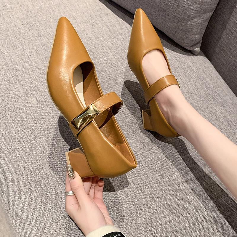 Single shoes women's spring and autumn new temperament Mary Jane shoes pointed thick heel medium heel women's shoes