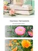 Three Lives Flower Essential Oil Shampoo & Body Wash: Anti-Dandruff, Anti-Itch Conditioner for Women, Softening Fragrance