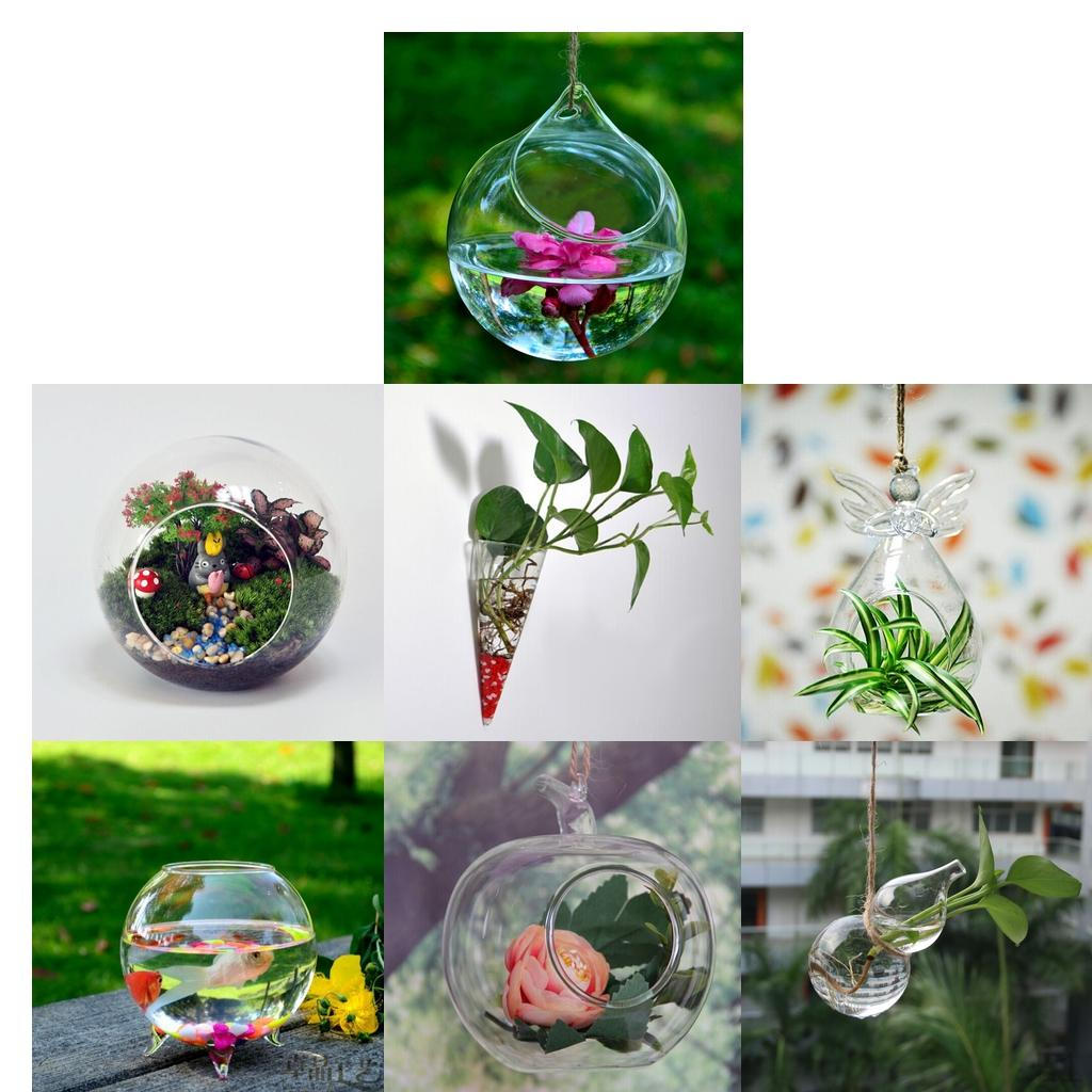 Ball Shape Transparent Vase Wall Hanging Bottle for Flower Decor Gift