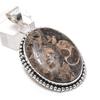 Natural Turritella Fossil 925 Sterling Silver Jewelry Pendant 2.13" v9O78