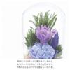 Glass Dome for Offerings Glass Dome Sachi