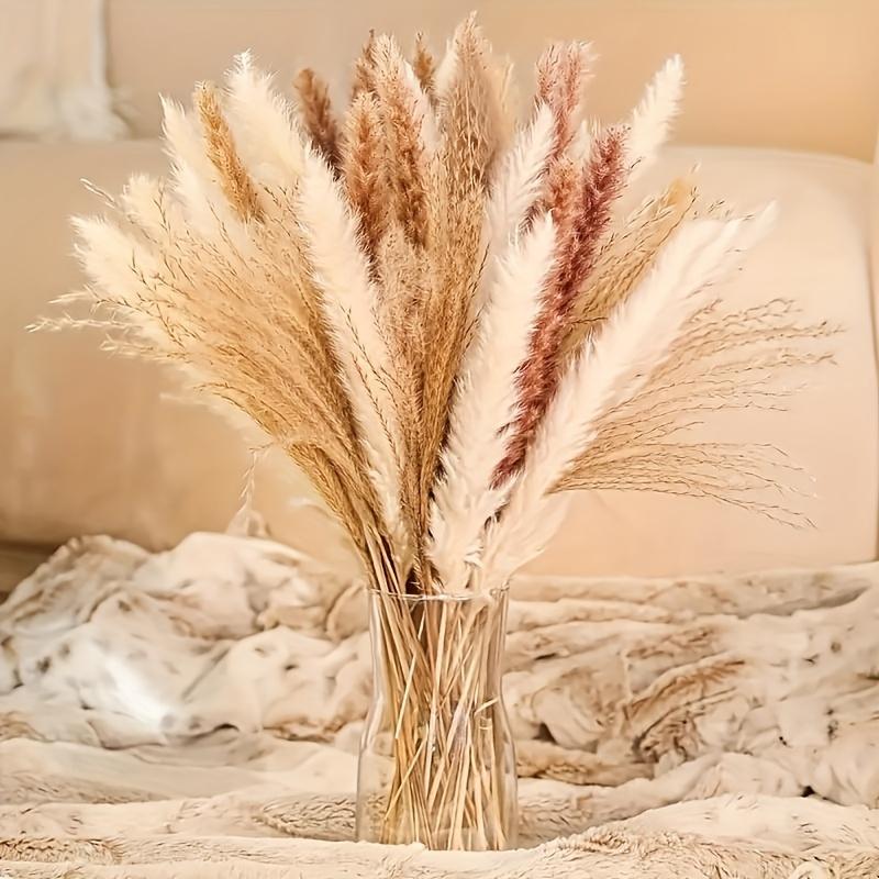 Feixe de Capim dos Pampas, Capim Rabo de Coelho, Juncos, Capim dos Pampas – Decoração Seca Fofa para Casa