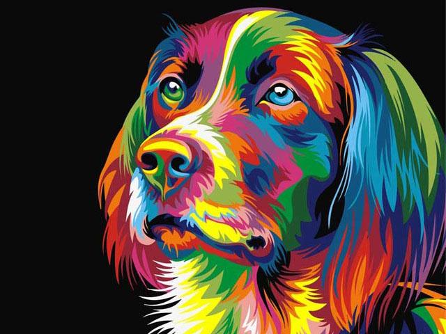 Full Square Diamond Embroidery Cat Dog Animal Wolf Diamond Mosaic Lion Needlework Painting Kits DIY Handmade Hobby