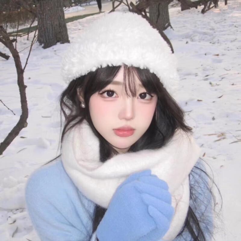 Women's 2024 Autumn/Winter Imitation Cashmere Scarf