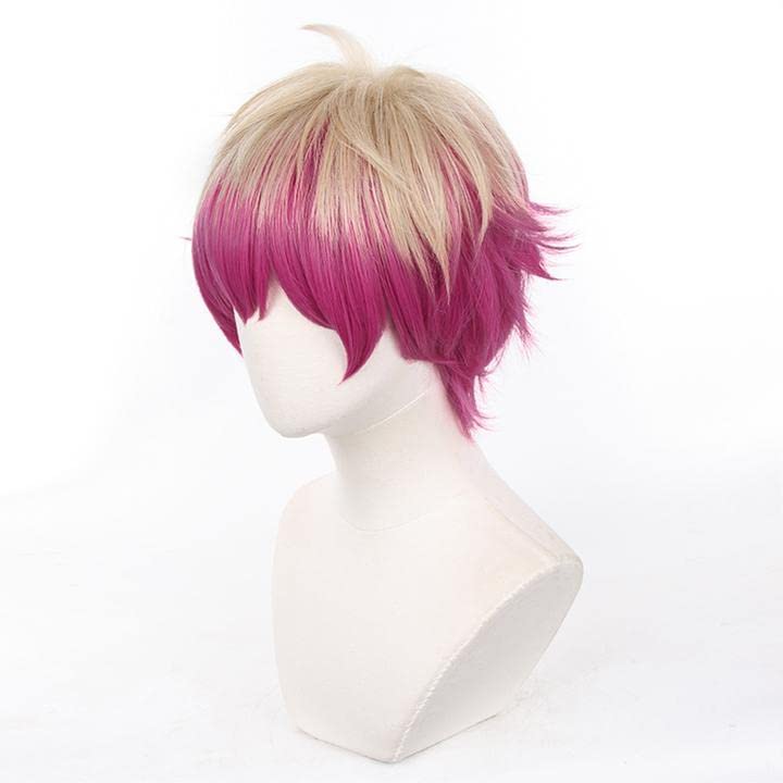 LVMEY Anime Character Cosplay Cosplay Comiket Cultural School Festival Wig, Costume, Heat-Resistant Wig, Accessory, Event, Halloween, Christmas,