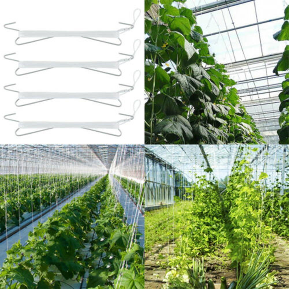 

Hook Plant Hooks Clamps Planting Garden Garden Tools Accessories Greenhouse Hook Plant Hooks Plant Supports Tomato Hook China Mainland