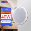 DAIPU 8-inch 40W Passive Ceiling Speaker (CN Version)