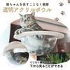 Iris Plaza Cat Athletic Transparent Scratching 1011103004 Tower, Tension-Type Tower, Hammock, Post, Balcony,