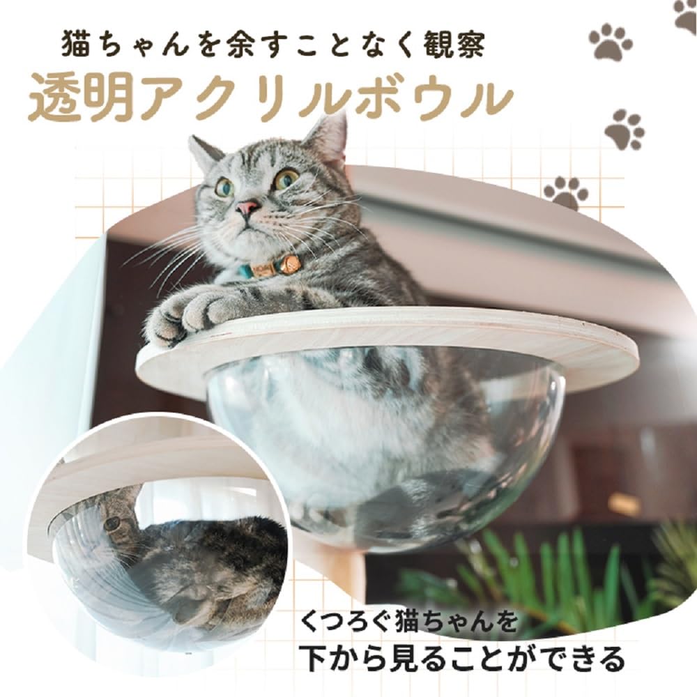 Iris Plaza Cat Athletic Transparent Scratching 1011103004 Tower, Tension-Type Tower, Hammock, Post, Balcony,