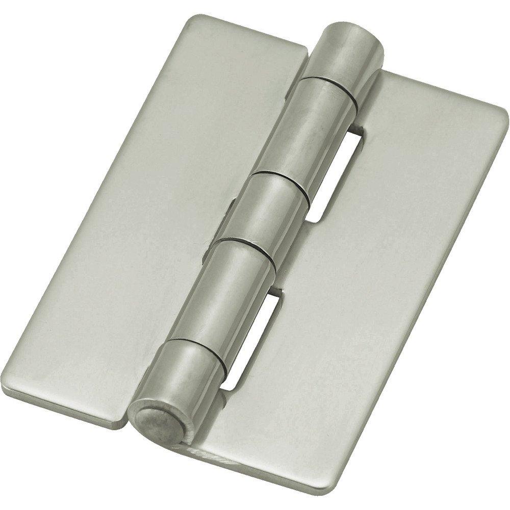 

TRUSCO Stainless Steel Flat Total Length 100mm piece 1 Hinge, (1 = bag) TLS-100A