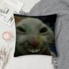 Funny Cat Meme Pillow Cover Short Plush Polyester Cushion Case Decor Throw Pillowcase Home Deco
