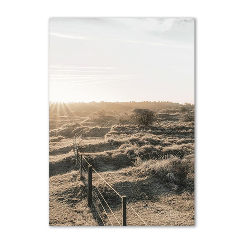 Forest Scenery Poster Prints Nature Landscape Sunlight Grassland Canvas Painting Wall Art Picture for Home Decor Painting Art