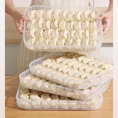 Multi-Layer Refrigerator Dumpling & Noodle Storage Box
