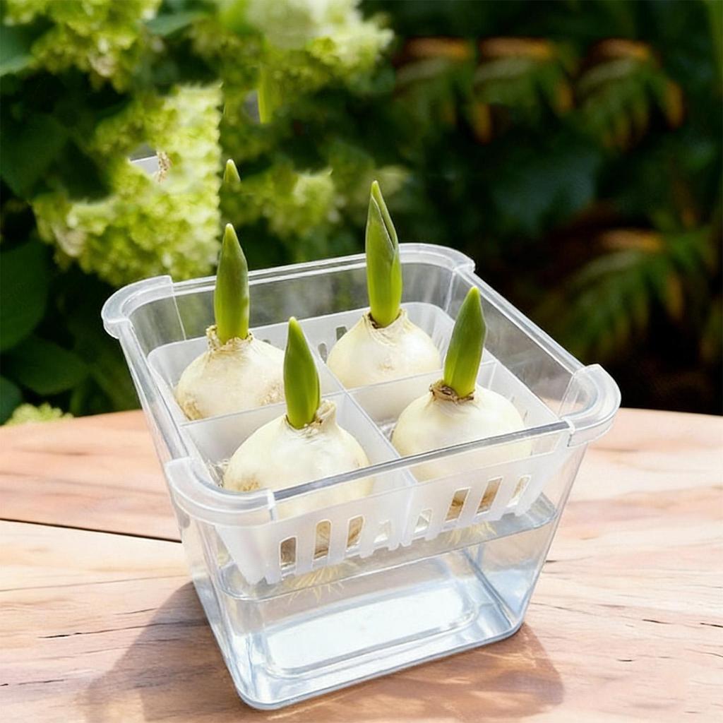 4 Compartimente Plastic Autoirigant Lalele Bulbi Ghivece Plantare Hidroponic Transparent Fără Sol Ghiveci Seră Flori Coș Suport Respirabil