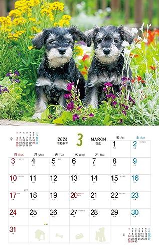 Cățeluș pufos (Calendar Impress 2024)