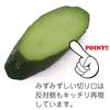 Food Sample Keychain Cucumber Slices Look Like You Want To Eat Them 361K [Coconut Accessories] - - -