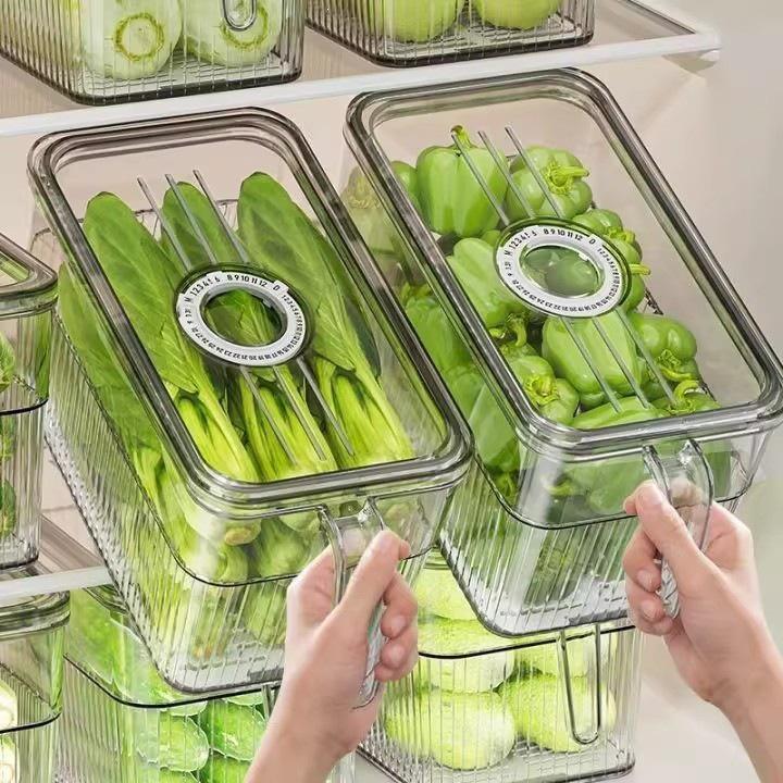 Food-Grade Refrigerator Storage Box with Handle for Vegetables, Fruits, Eggs & More