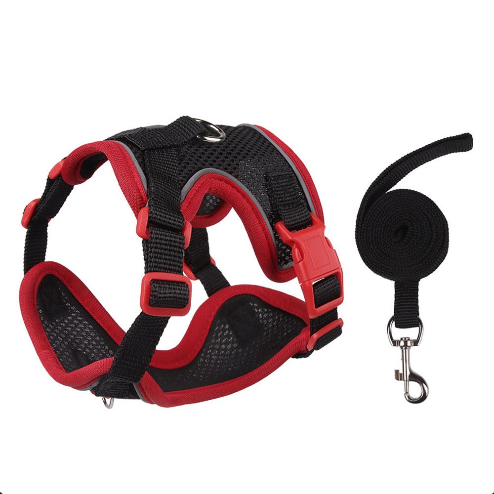 Kitten & Small Dog Harness, Anti-Escape Outdoor Pet Chest Strap, Secure for Walking, Adjustable & Comfortable