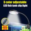 Peixes e animais aquáticos – Iluminação de aquário