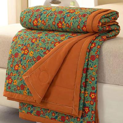 American Summer Printed Air-Conditioned Quilt 2Pcs Comfort Quilted Cooling Blanket for Gift Breathable Thin Home Soft Bedspread