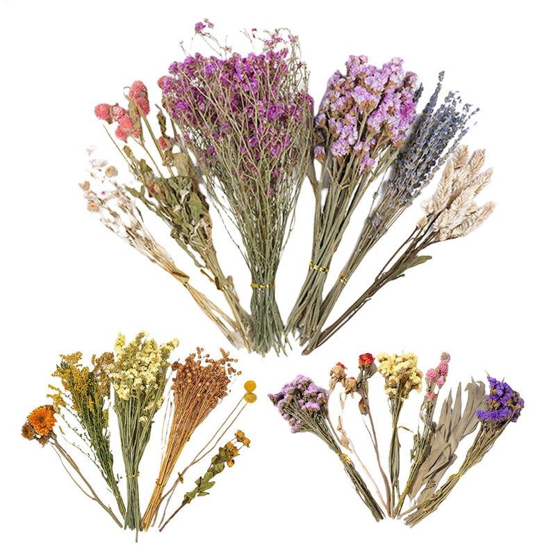 Flower And Plant Bedding Natural Hamster Bedding Hamster Deodorizing Bedding Small Animal Deodorant Landscaping Supplies Product