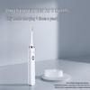 FLYCO FT7205 Sonic Electric Toothbrush CN plug (adapter included)