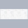 [Random]BTS - LOVE YOURSELF  ANSWER (2CD)