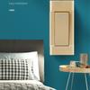 1 Gang 1 Way Surface-mounted Control Switch 2 Gang 2 Way Small Switch Dual Control Switch  Bedside