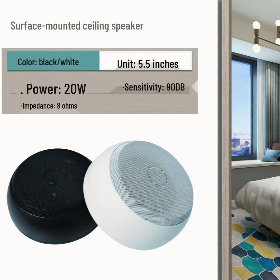 

In Stock Tiandi 20W Surface-Mounted Ceiling Speaker: No Hole Needed, Ideal for Malls & Supermarkets Diameter 217*90mm