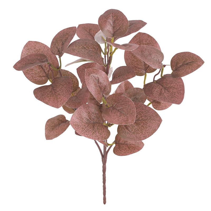

Eucalyptus Citriodoraplant For Party Floral Decor And Gift Arrangements Red
