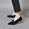 Pointed High Heels Women's Spring New Elegant Belt Buckle Light Mouth Cat Heel Small Single Shoes Overalls Women's Shoes