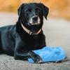 Portable Dog Molar Plaything Slipper Shaped Chew Resistant Pet Supply for Small Puppy Clean Teeth Daily Use Tpr Wear-Resistant