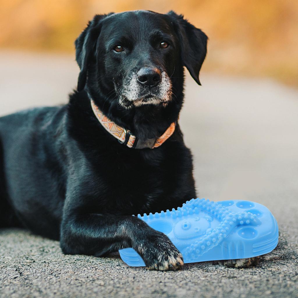 Portable Dog Molar Plaything Slipper Shaped Chew Resistant Pet Supply for Small Puppy Clean Teeth Daily Use Tpr Wear-Resistant