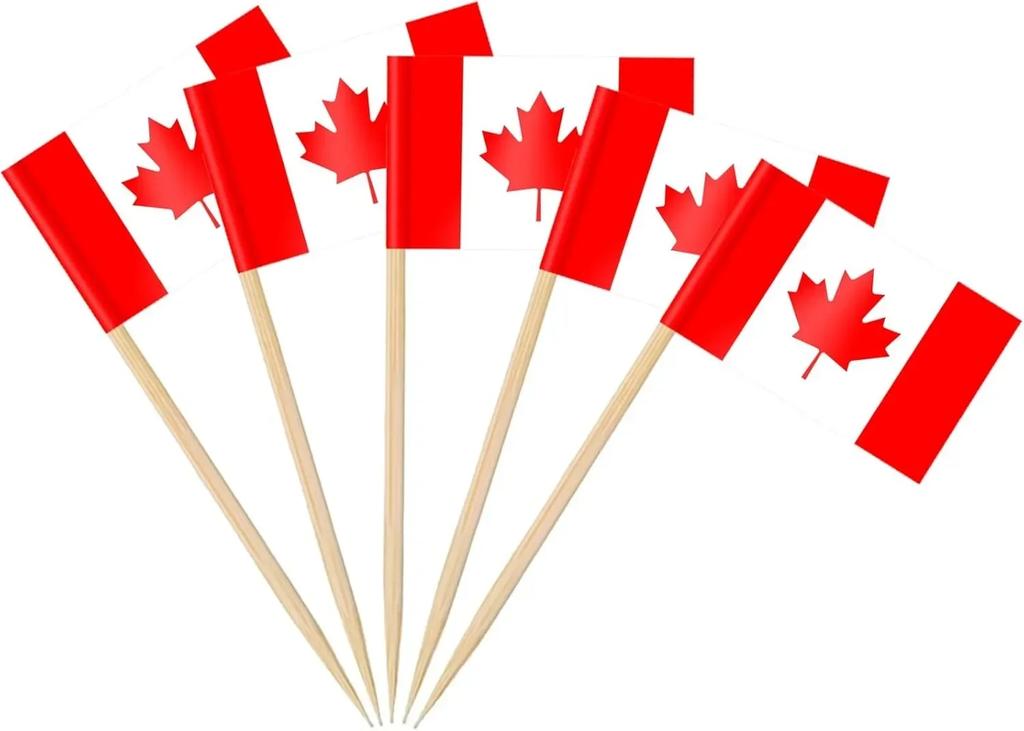Thailand Toothpick Flags Picks, 100 Pcs Small Tiny Croatia Cupcake Toppers Stick Flags Double-sided for World Cup, National Day