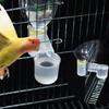 Plastikowy Poidło Karmnik dla Ptaków Domowych Butelka na Wodę Kubek Kot Kurczak Gołąb Papuga Chomik Podwójna Dysza Prowadnik Wody Do Ogrodu Rodzinnego