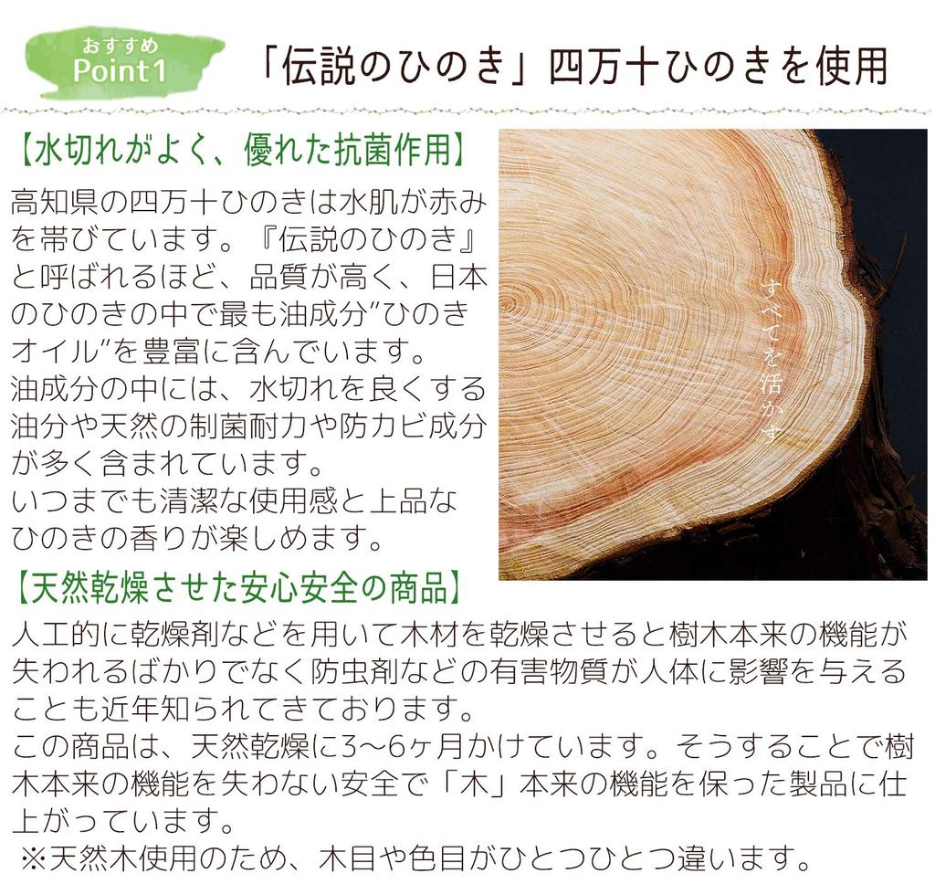 TOSARYU SHIMANTO HINOKI Tosaryu Cutting Board Ichimai Board Master HC7003 Beige