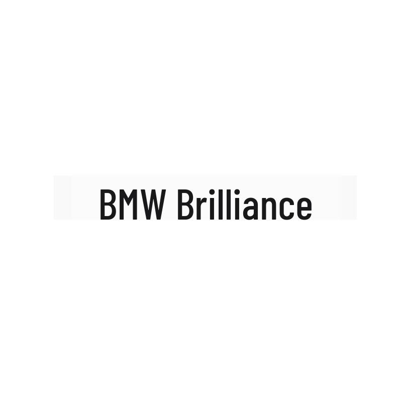 BMW Rear Emblem M Lettering Modification for 330i, 325li, 430i, 530i, 540li
