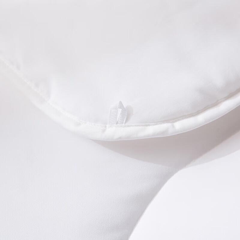 Hongxiu Shifang Antibacterial Washable Comfort Quilt