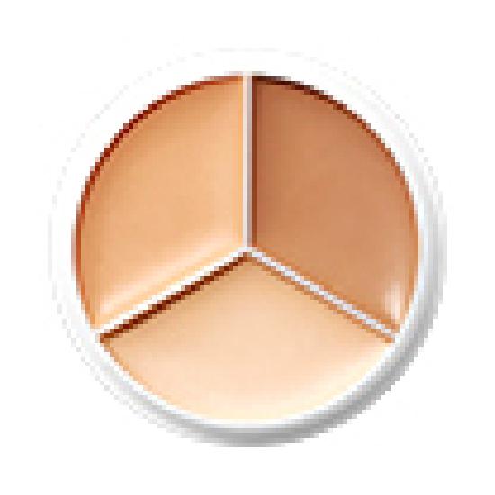 TFIT Cover Up Pro Concealer 7 Colors (Single Product/Planned)