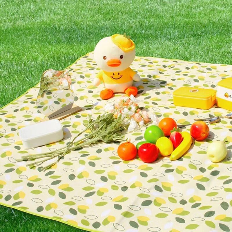 

Yike Waterproof Picnic Mat