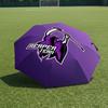 1 Pezzo Ombrello Pieghevole Automatico - Modello Melbourne Storm, Design Portatile e Pieghevole con 8 Stecche, Regali di Natale e Compleanno