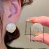 Luxurious Inlaid Sparkling Synthetic Zirconia Creative Shell-Shaped Hoop Earrings For, Perfect for Parties And Everyday Fashion Additions