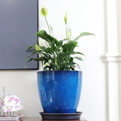 Deep Flower Pot Imitation Ceramic Plant Pot with Drainage Hole Resin Monstera Planter with Saucer for Indoor Outdoor Plants Home Garden Office Decor