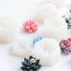 9pcs Succulent Silicone Mold Safe Durable Cactus Flower Resin Candle Mold 3D Succulent Resin Epoxy Casting Mold For DIY Decor