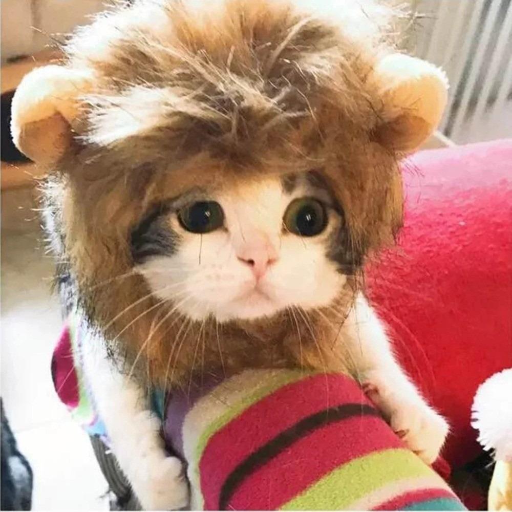 Comfortable Fit Soft Lion Mane Wig Cap Hat Breathable Funny Dog Cat Wig Hat Fluffy Creative Pet Costume Cosplay