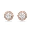 Constella Stud Earrings 5636275