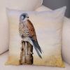 Bedroom Sofa Car Cushion Cover Cartoon Animal Colorful Fox Bird Squirrel Series Home Office Decoration Pillow