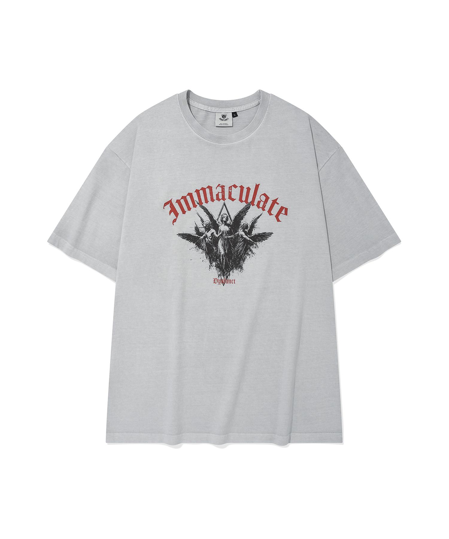 Disfunct Immaculate Pigment T-Shirt(Gray) M